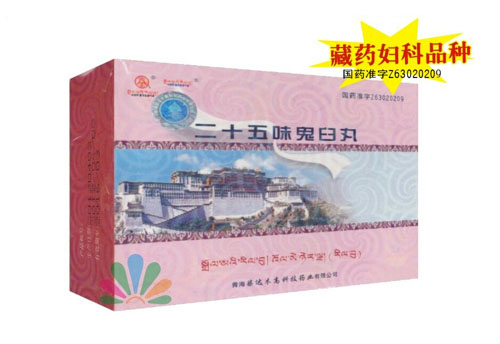 二十五味D? width=